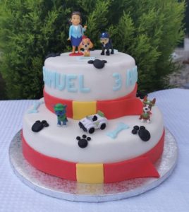 Gâteau pat patrouille - Pâtissier mariage Essonne (91)